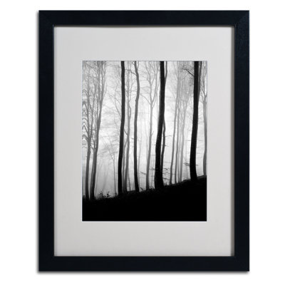 " Black Lines " by Philippe Sainte-Laudy