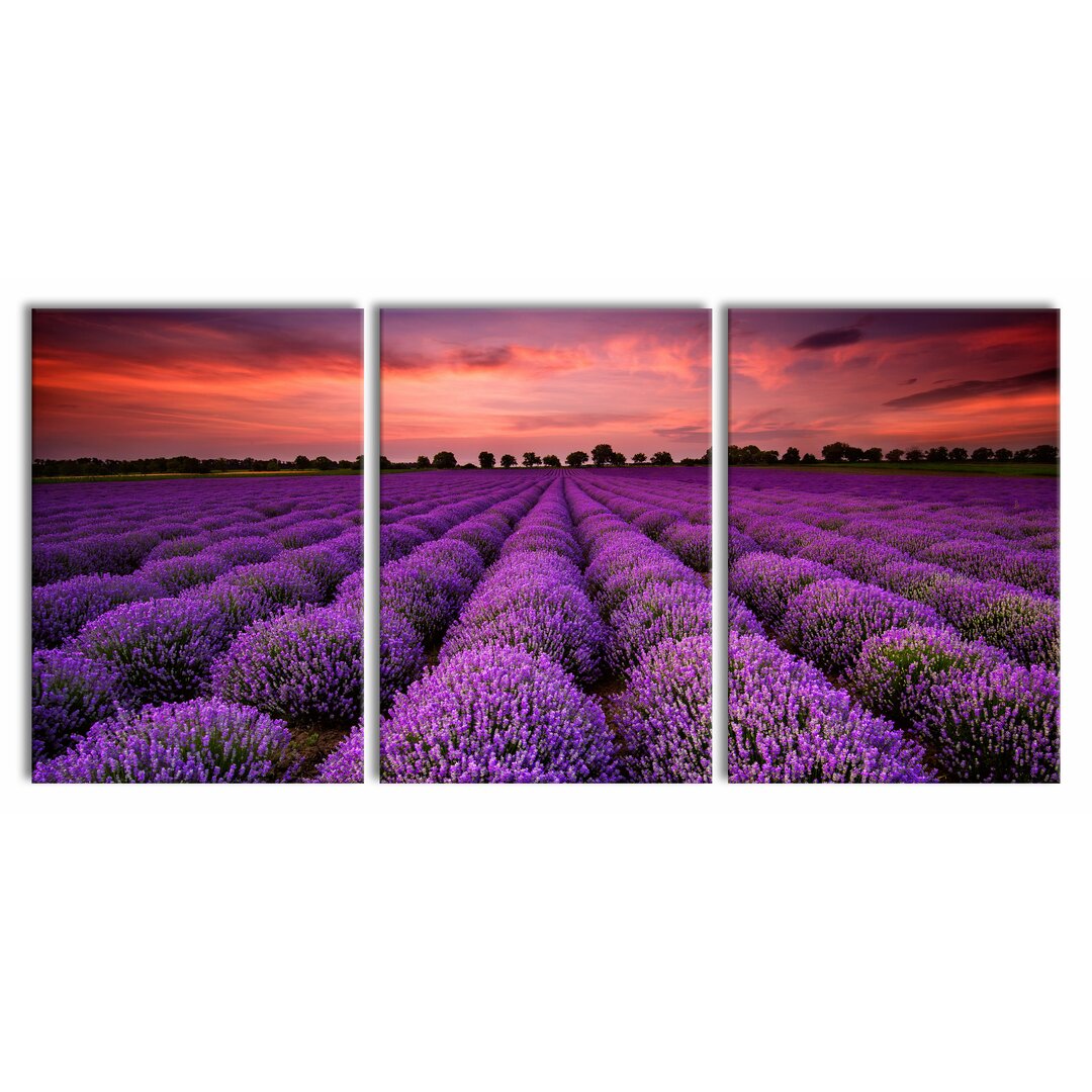 3-tlg. Leinwandbilder-Set Wunderschöne Lavendel Provence