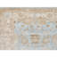 Wool Oriental Area Rug in Ivory