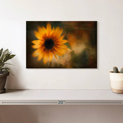Tournesol Harnek