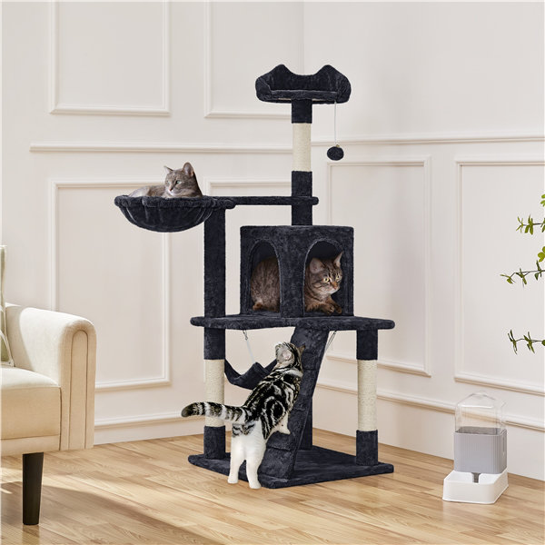 Arbre à chat Sievers, Noir