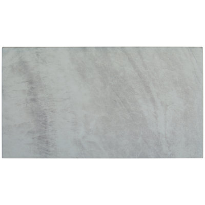 Duravia Cove 13 in. x 24 in. x 0.79 in. Matte Porcelain Pool Coping (4.33 sq. ft./unit, 2 Piece)