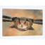 «Eagle Owl» par David Stribble - impression sur toile tendue-33109295-72397758-72397752