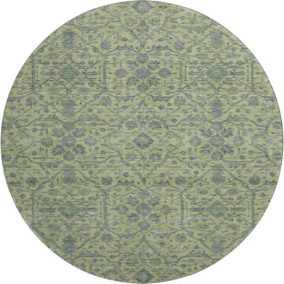 Premium Machine Washable Ducote AMF1131 Global Rug