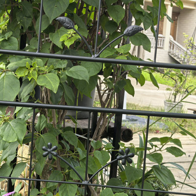 Paquet de 2 trellis d'intérieur / extérieur en métal, 20 po x 71 po, thermolaqués pour la protection, plantes grimpantes en pot de jardin Ivy and Roses