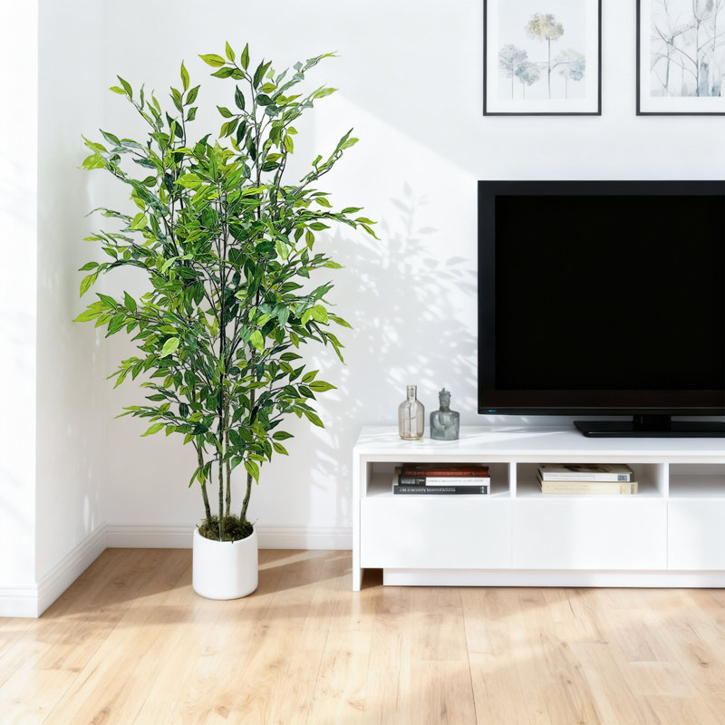 Plant, 150cm x 17.78cm