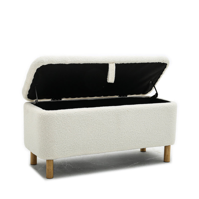 Dayvian 39.3" Storage Ottoman Bench for End of Bed, White
