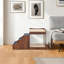 Escalier pour animaux Alliya-1734421951-1734421921