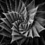 « succulent i », impression sur toile-29173932-72797709-72797711