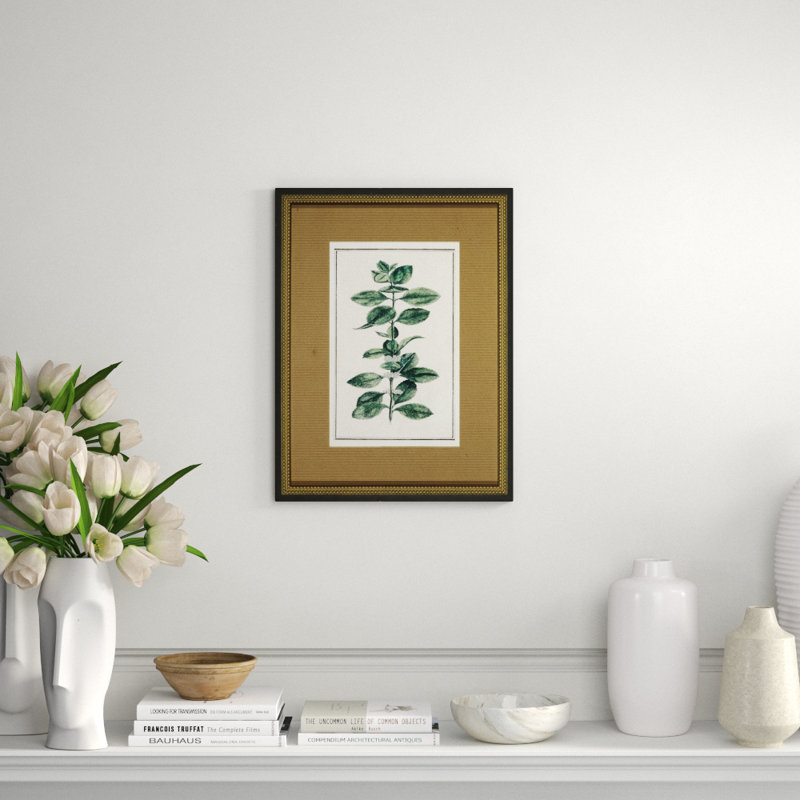 Vintage Botanical Sketch III Print