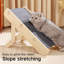 Rampe pour animaux pliante réglable