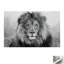 Print on Canvas-1731384334-1731384322