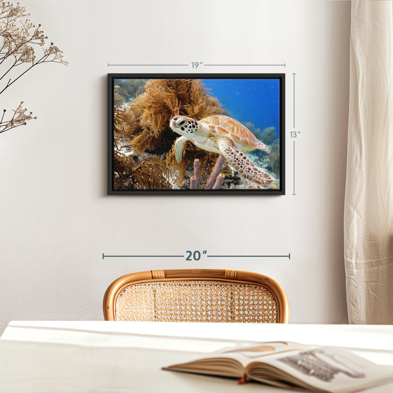 Turtle Reef Canvas Print, 13" H x 19" W