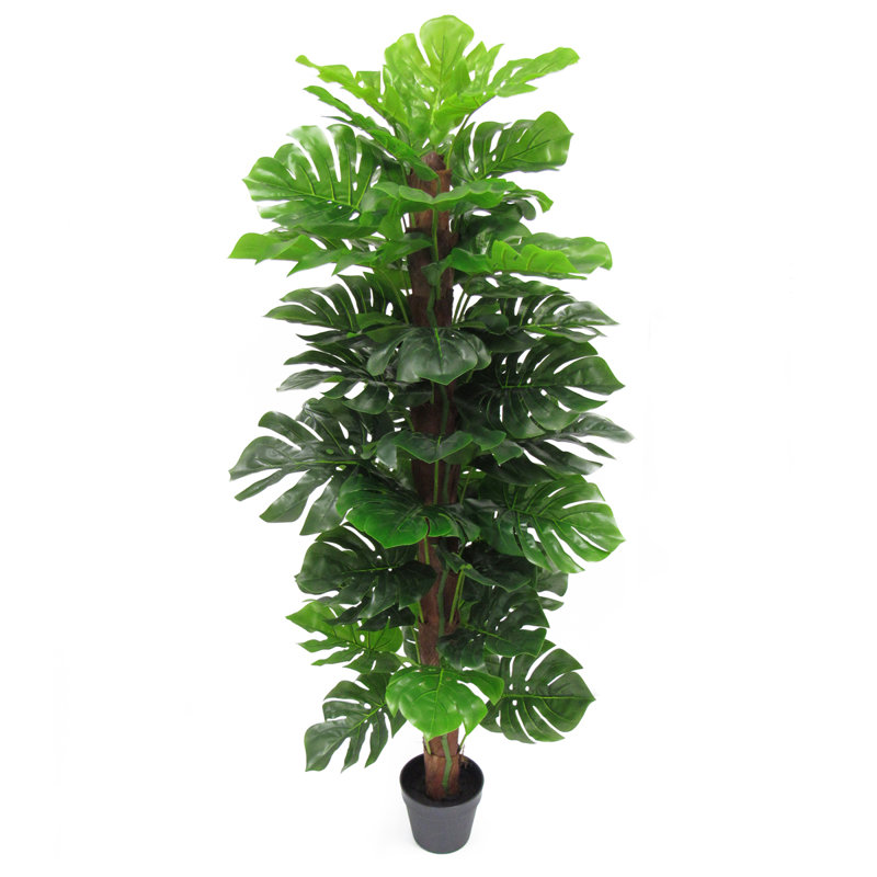 succulent stand 4-Tier Plant Stand, Multiple Potted Plants Holder Corner Flower Shelf