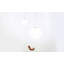 Drop 1 - Light Pendant-71305090