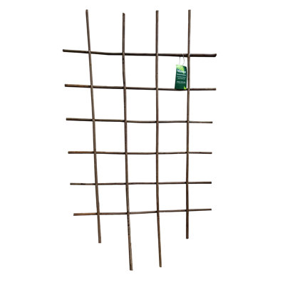 Willow Espalier Square Trellis