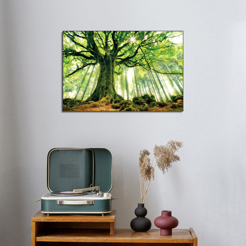Reproduction d'art sur toile Steemplix - Hêtre de Ponthus par Christophe Kiciak