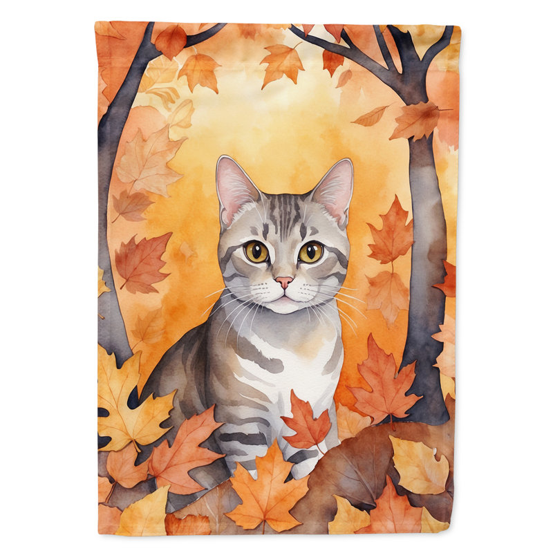 Chat en feuilles d'automne, European Shorthair