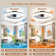 Ceiling Fans With Lights Remote Control, 6 Speeds And Dimmable Modern Smart Ceiling Fan Light