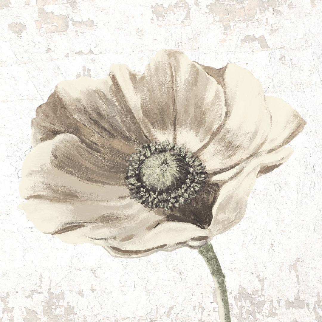 Cream Flower on Cream - Wrapped Canvas Painting