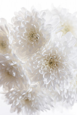 Wrapped Canvas Print, 76.2 cm H x 50.8 cm W