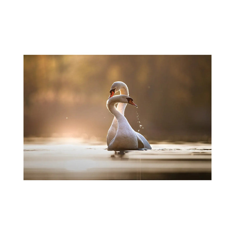 Affection 1 Piece Wrapped Canvas Wall Art, 30.48cm H x 45.72cm W x 1.905cm D