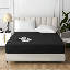 Angeliza Microfiber Standard Fitted Sheet-33121150-33121151