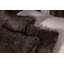 Newman Animal Print Throw Pillow Cover-1371209513