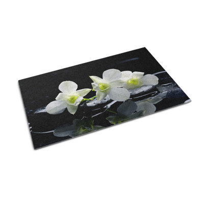 Non-Slip Outdoor Doormat