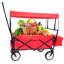 Chariot de plage pliable Garden