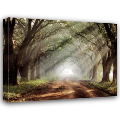 Millwood Pines Jones, Mike Gallery Wrapped Canvas Art Titled: Evergreen Plantation