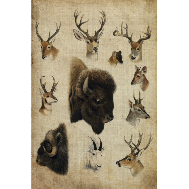 American Trophy III by John Butler - Wrapped Canvas Print, 46cm H x 30cm W x 3.8cm D