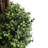 Artificial Boxwood Tree in Pot-973639343