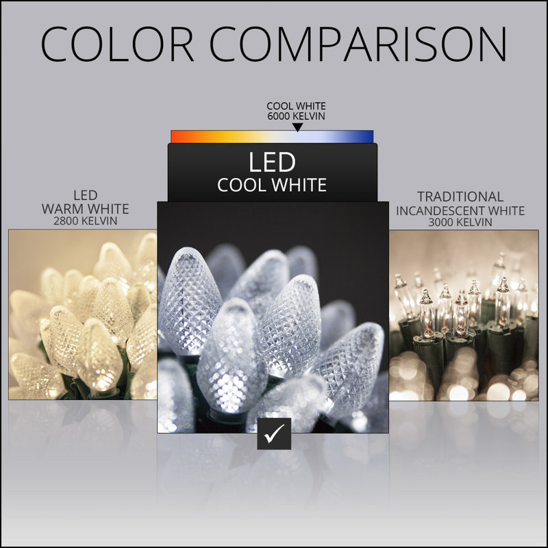 C7 Christmas 25-Light LED String Light, Cool White