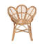 Akam Rattan Accent Chair