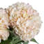 Anastasija Arrangement-1038311198-1038311192
