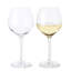 Premium White Wine Glass