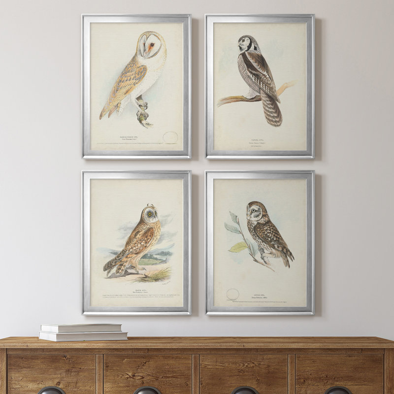 Toile encadrée de qualité supérieure Barn Owl - prête à être accrochée, H 36,5 po x l 106 po x P 1 po, Cadre argenté
