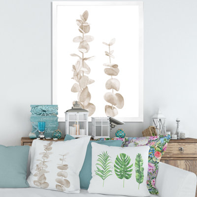 " Beige Eucalyptus Branches On White "