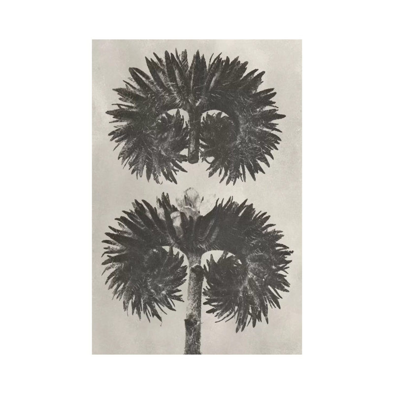 Blossfeldt Botanical V 1 Piece Wrapped Canvas Wall Art, 101.6cm H x 66.04cm W x 1.91cm D