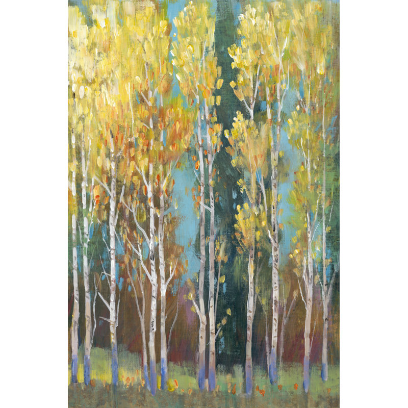Aspen Grove I by Timothy O' Toole - Painting Print, 122cm H x 81cm W, Black Floater Framed