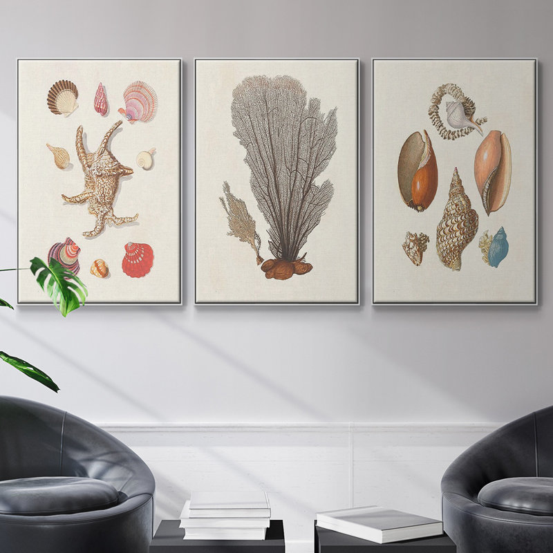 Knorr Shells & Coral I, impression sur toile 3 pièces, H 48 po x l 96 po x P 2 po, Blanc