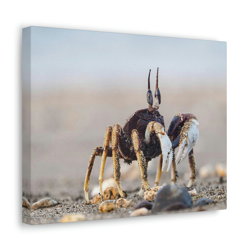 No Frame Print on Canvas, 27.94cm H x 35.56cm W