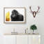 Silverback Gorilla with Golden Flash - Picture Frame Painting Print-55619276-55619283