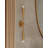 Brass Armed Sconce