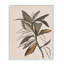 «Earthtone Boho Plant Grey», estampe numérique par Nataly White-107872959-111705799