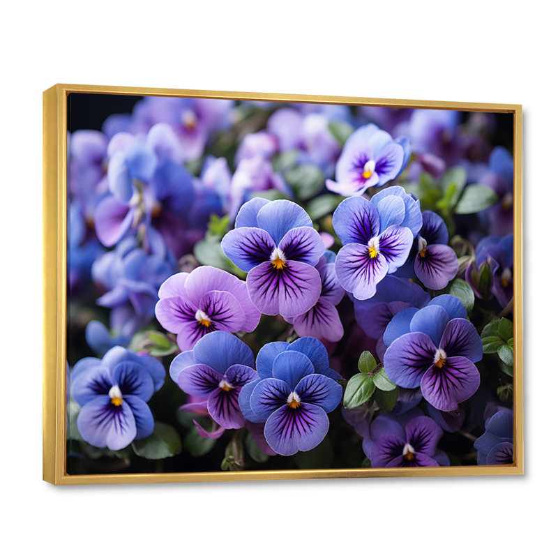 «Purple Pansies Field Vibrant» sur toile, Cadre flottant doré, H 30 po x l 40 po x P 1,5 po