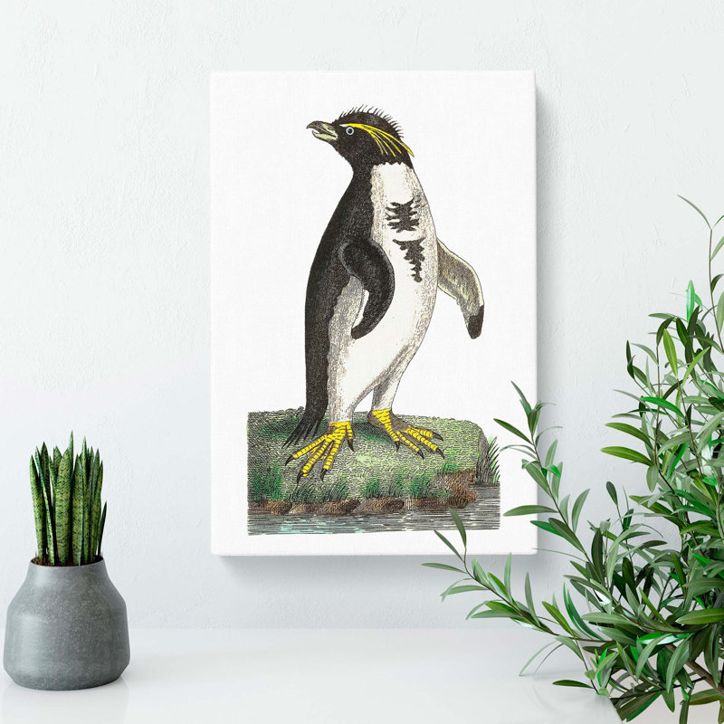 Crested Penguin by George Shaw - Wrapped Canvas, 50cm H x 35cm W x 3cm D