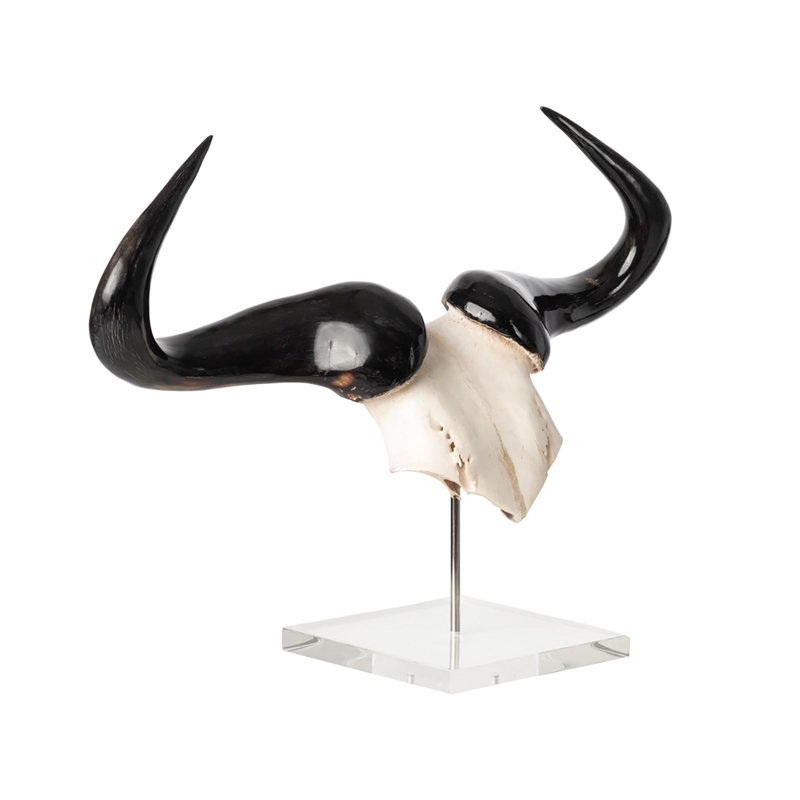 Mounted Wildebeest Skull Plate