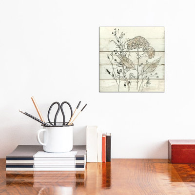 Dried Flower Study I by Carol Robinson - Wrapped Canvas Print